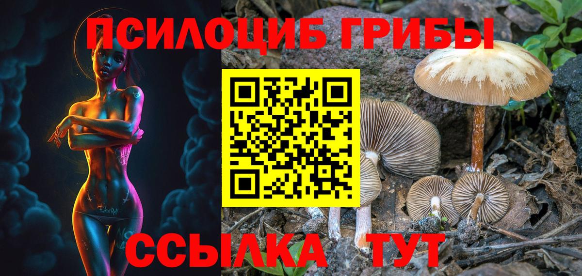 Сергиев Посад  Галлюциногенные грибы мицелий  Галлюциногенные грибы мухоморы  Вход с VPN 
