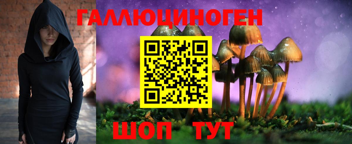 Галлюциногенные грибы Psilocybine cubensis Сергиев Посад